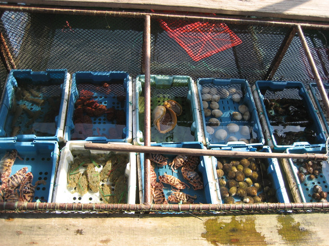IMG-2060.jpg
