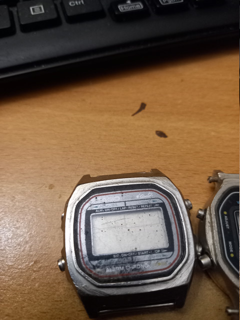 1000067076.jpg