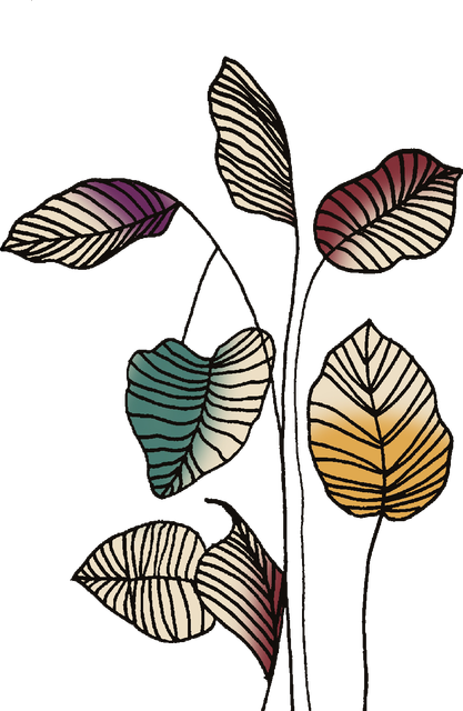 d784a684efb50c2d2a9e63c819117cde.png
