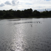 DSC06358-5