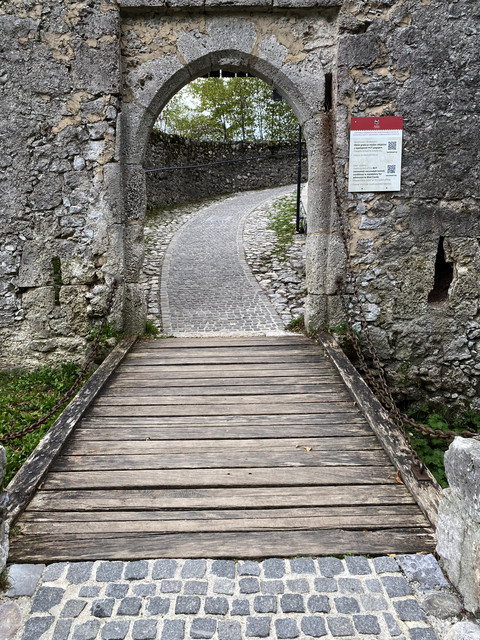 IMG-2841