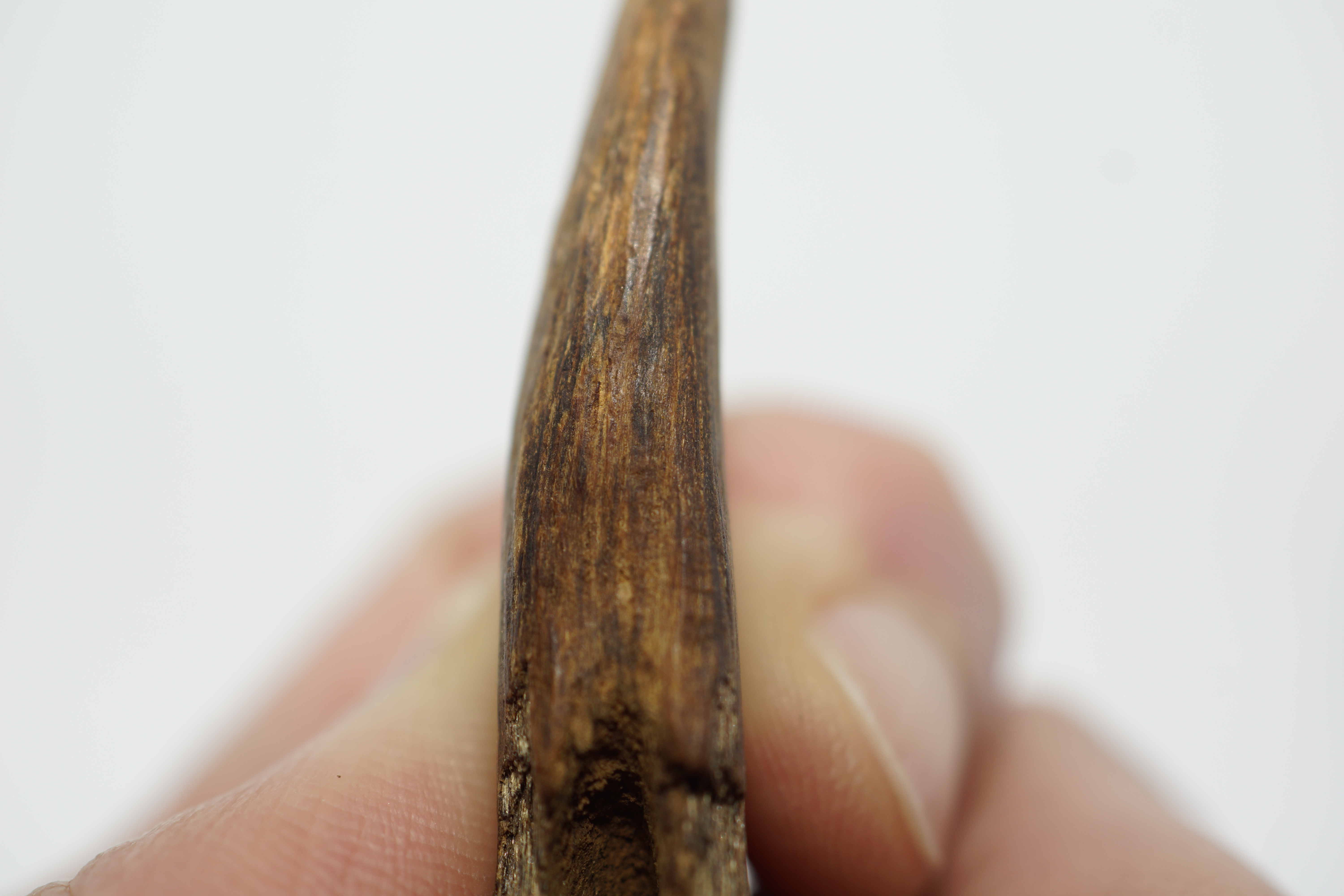 [Ouddict.com] Oud Photos