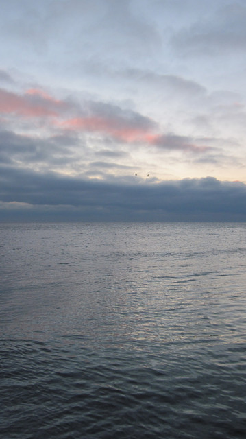 IMG-1949
