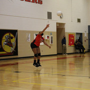 IMG-0102