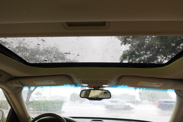 DSC09492.jpg