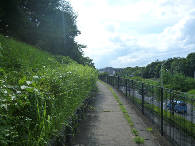 P1320969