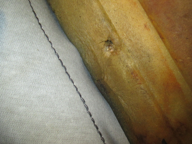 IMG-8659