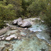 IMG-3242