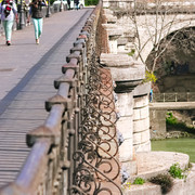 IMGP8317