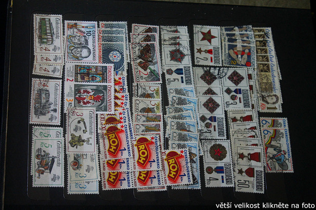 IMG-3386.jpg
