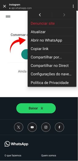 Instrução 2