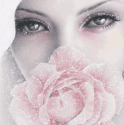 4.gif