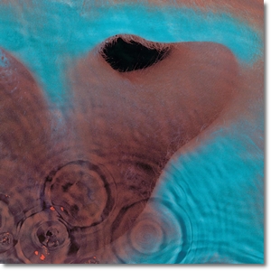 cover-6.jpg?042148
