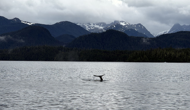 IMG 5633.jpg