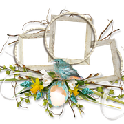 cluster-frame-55