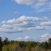 DSC 0541