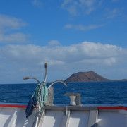 DSCF8644