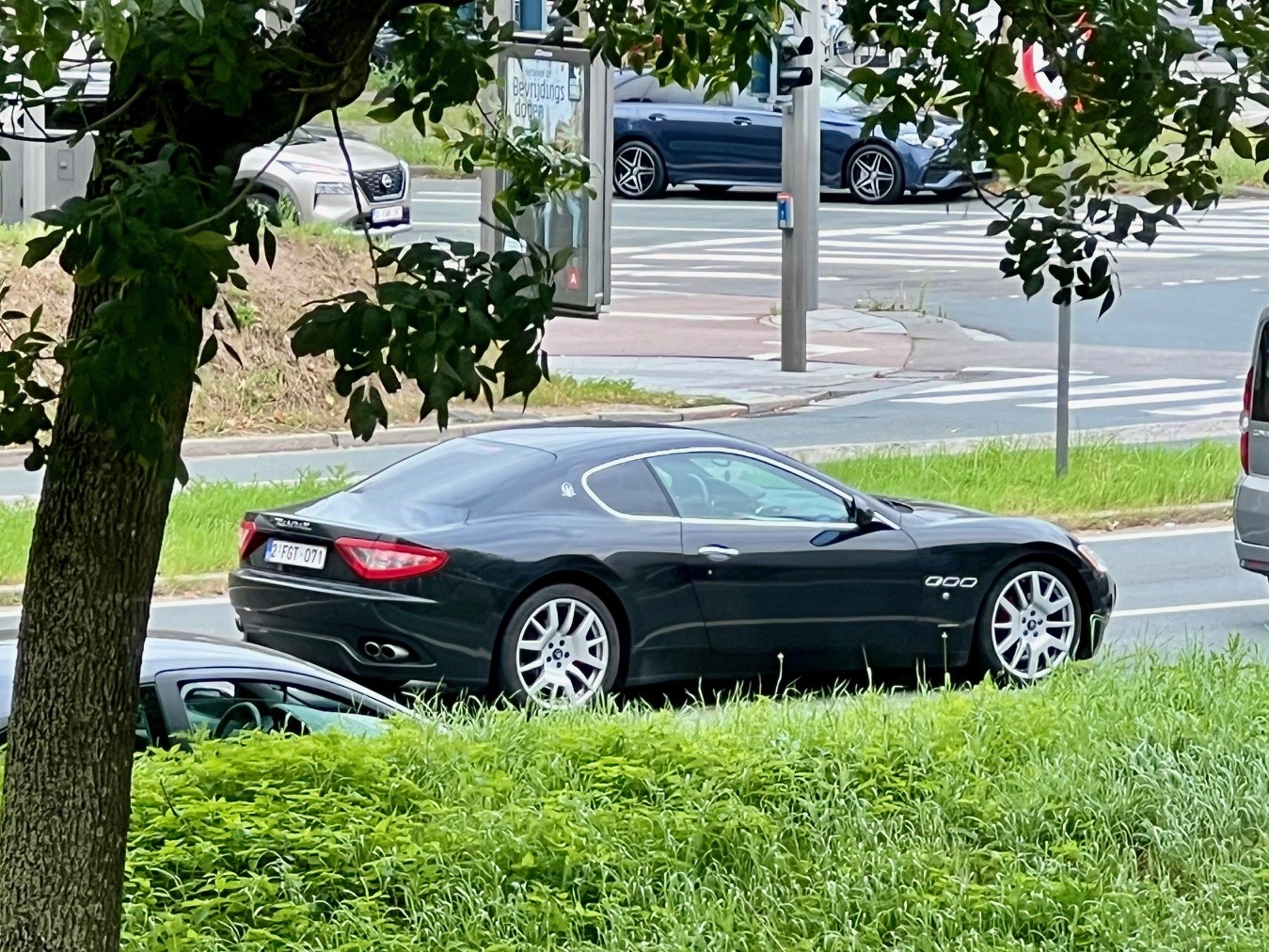 spot2024186.jpg