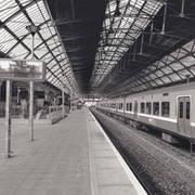 IMGP7917