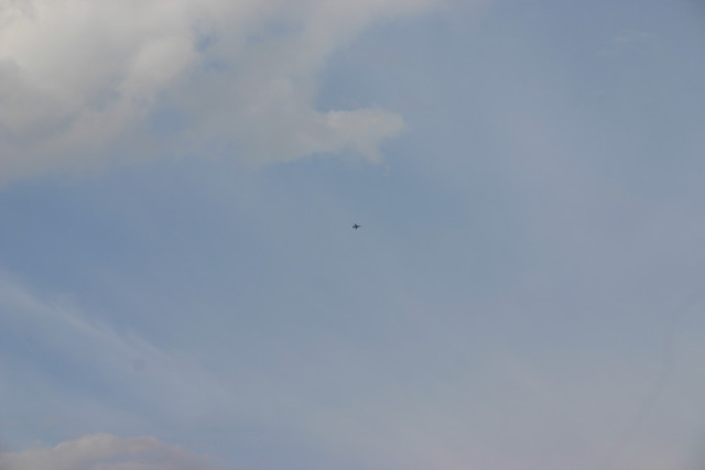 IMG-0419