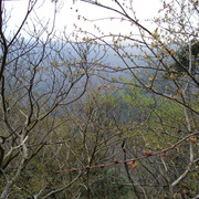 2009-03-25-099