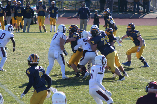 IMG-3143