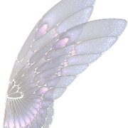 Angel-Wings-1