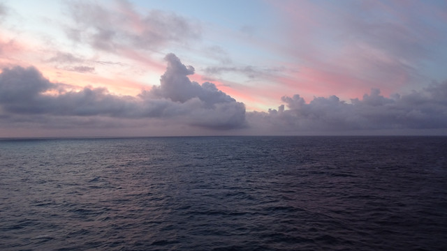 DSC05198