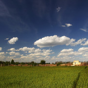 1002a0137m