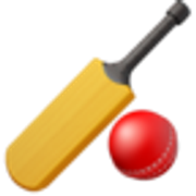 cricket-game-1f3cf