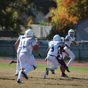 IMG-8302