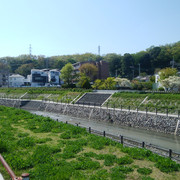 DSC-0072