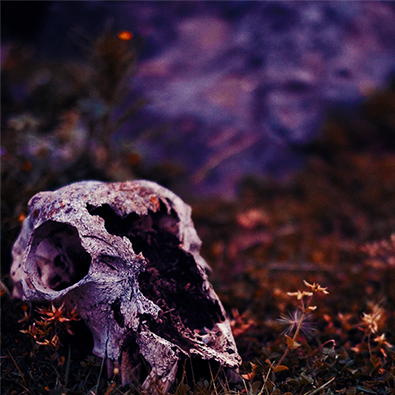 [Image: image.png]