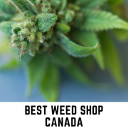 Best-Weed-Shop-Canada-17