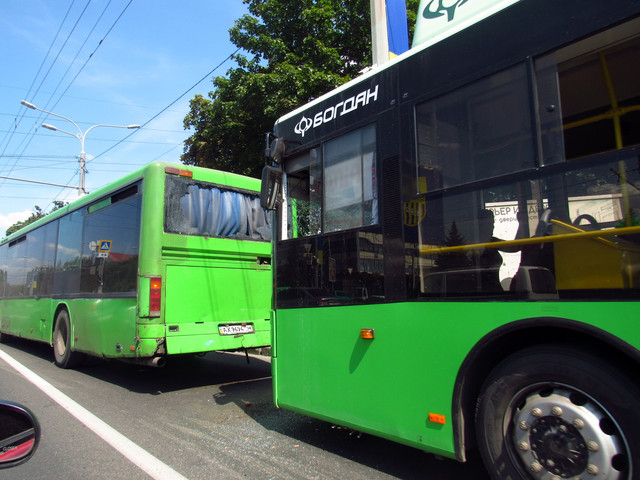 IMG-3310-1