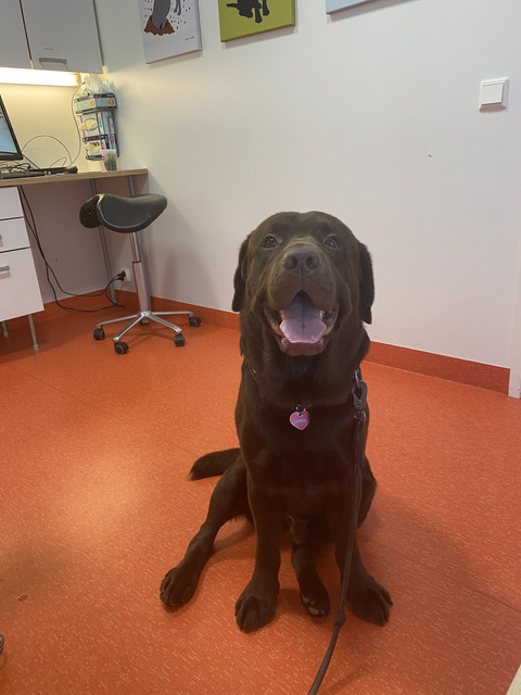 596-DE7-B6-2-C99-49-CD-BE60-9-A051-A22-A