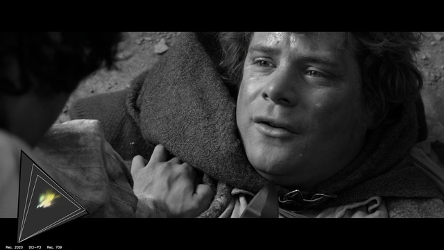 gamut-LOTR20329