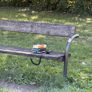 IMG 3186
