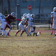 IMG-4806