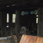 OLYMPUS-DIGITAL-CAMERA