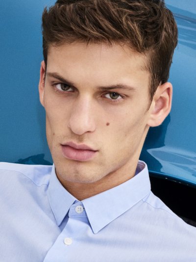 david8.jpg
