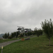 IMG-1331