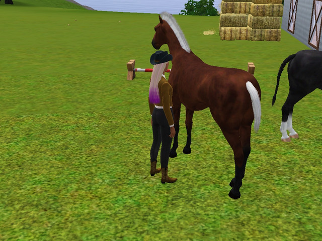 Screenshot-118