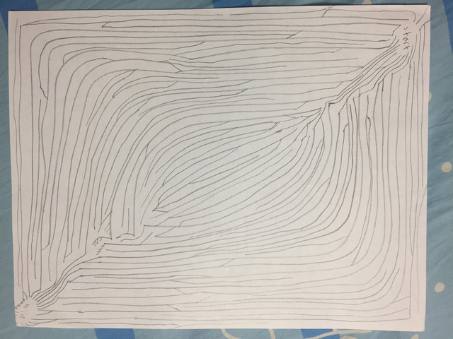 IMG-5645-MAZE