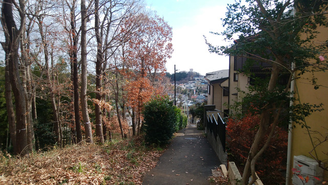 IMG-20221230-104404.jpg