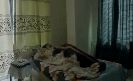 Untitled-1.gif