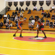 IMG-0410