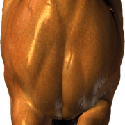 horse-PNG293-result