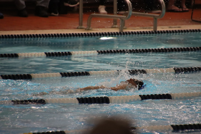 IMG-0051