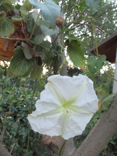 IMG 2479.jpg